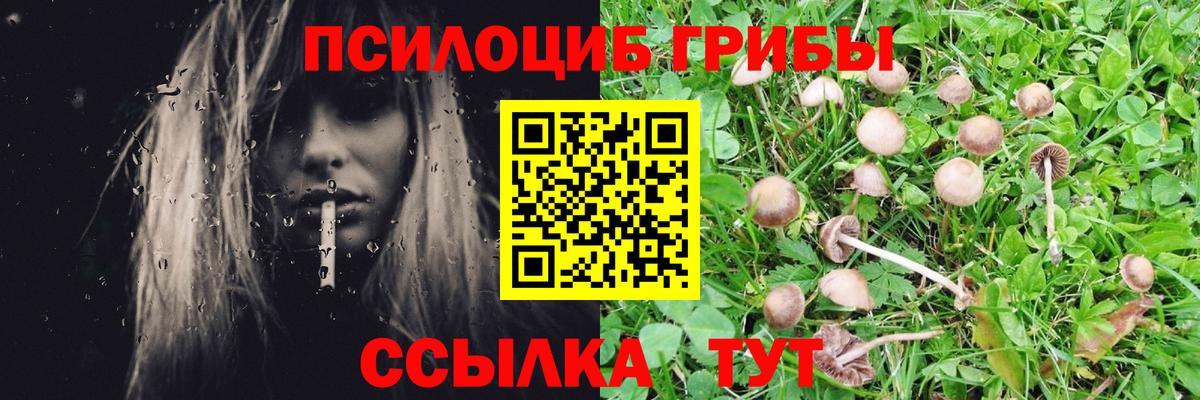 Псилоцибиновые грибы Magic Shrooms  Псилоцибиновые грибы мицелий  Вход с VPN  Фурманов 
